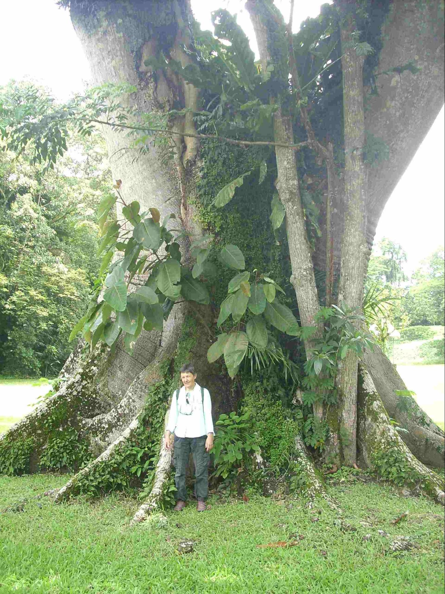 der Baum und Chris.JPG